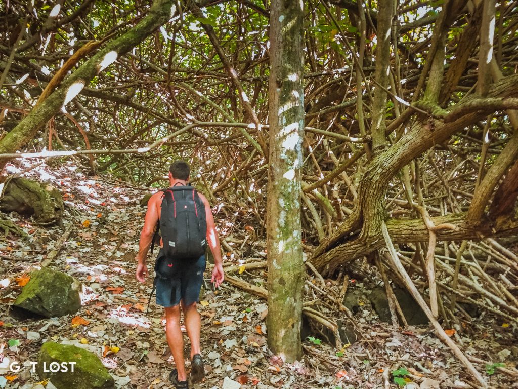 kalalau-trail-5